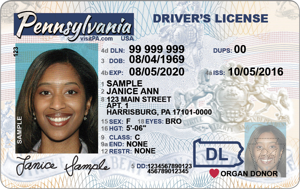 Sample driver's license representing drivers licensing services of driver's license services company Messenger Service Inc in Mckeesport, PA